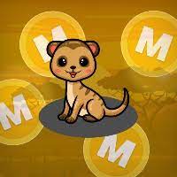 Mongoose Token
